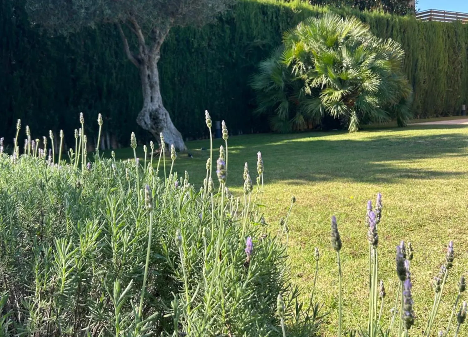 Villa Torrent Costa Brava, Con Piscina Privada! パルス スペイン